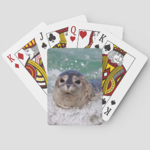 Ein Seehundbaby surft Spielkarten