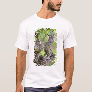 Ein sehr alter Rebstock im Weinberg Clos de l'Echo T-Shirt