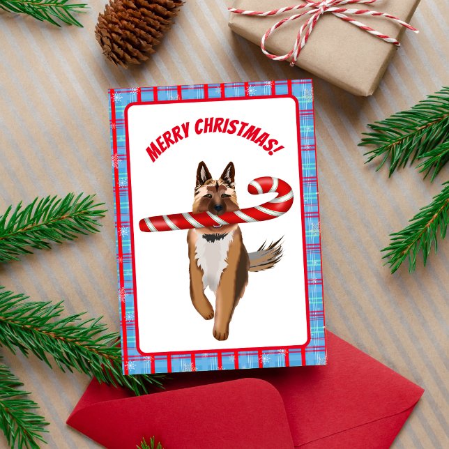 Ein sehr deutscher Schäferhund Candy Cane Weihnach Karte (Great for the German Shepherd fan! )