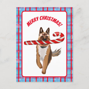Ein sehr deutscher Schäferhund Candy Cane Weihnach Postkarte