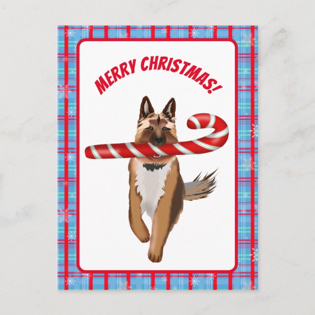Ein sehr deutscher Schäferhund Candy Cane Weihnach Postkarte (Vorderseite)