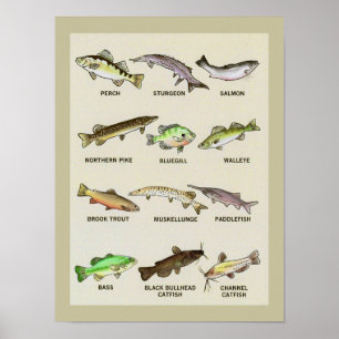 Ein sehr fischiger Druck Poster