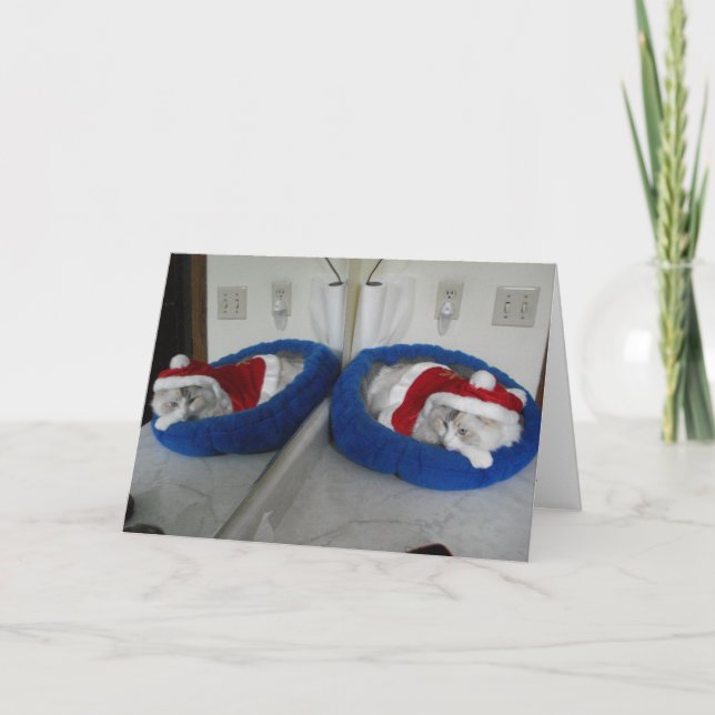 Ein sehr knuspriger Weihnachten (Vorderseite)