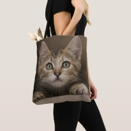 Ein sehr süßes Tabby-Kätzchen
