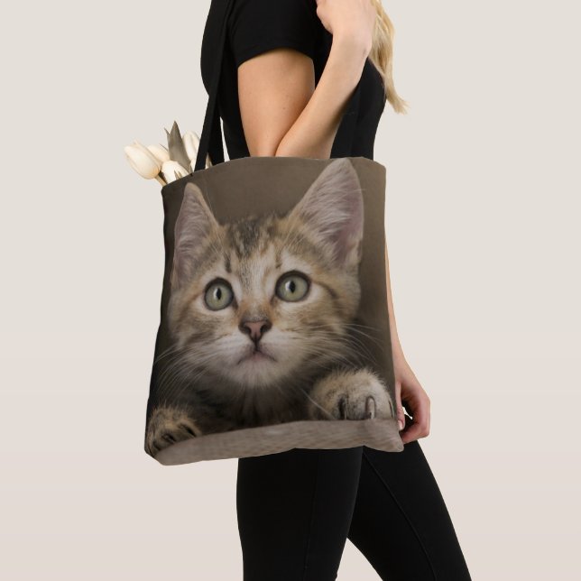 Ein sehr süßes Tabby-Kätzchen (Von Nahem)
