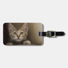 Ein sehr süßes Tabby-Kätzchen Gepäckanhänger