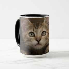 Ein sehr süßes Tabby-Kätzchen Tasse