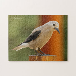 Ein seltsamer Riesenknacker Puzzle