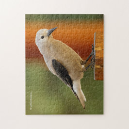 Ein seltsamer Riesenknacker Puzzle