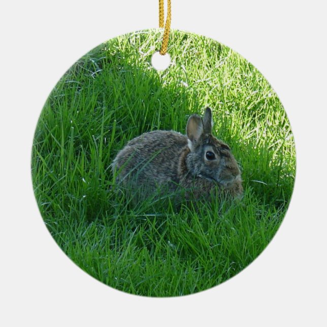 Ein Shady Bunny Keramikornament (Vorne)