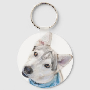 Ein sibirischer Husky Mix kippt seinen Kopf Schlüsselanhänger