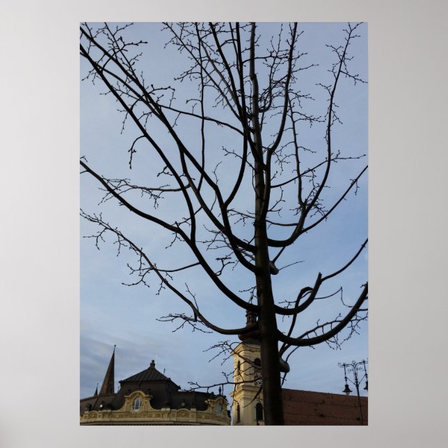 ein sich bewegender Baum Poster (Vorne)