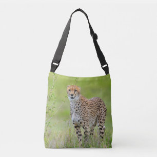 Ein Single Cheetah auf Grasland, Afrika Tragetaschen Mit Langen Trägern