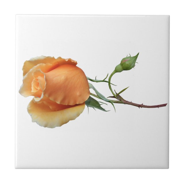 Ein Single Rose Schneiden Fliese (Vorderseite)