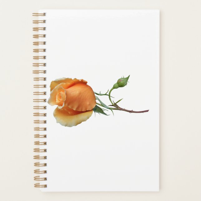 Ein Single Rose Schneiden Planer (Vorderseite)