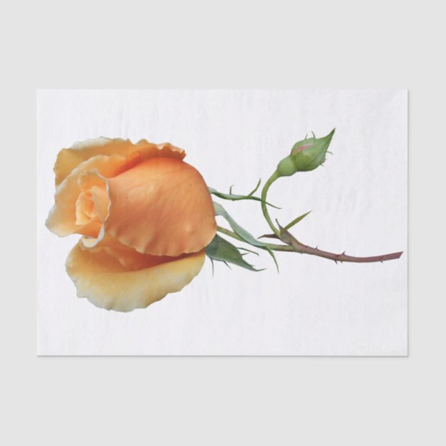 Ein Single Rose Schneiden Seidenpapier (Vorderseite)