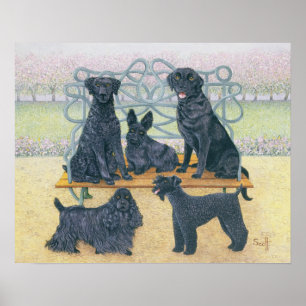 Ein Sitz im Park Poster