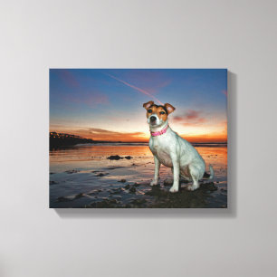 Ein sitzender Strand Jack-Russells Strand- Leinwanddruck