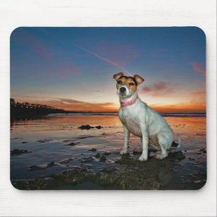 Ein sitzender Strand Jack-Russells Strand- Mousepad