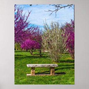 Ein Sitzplatz in der Frühlingssaison Poster