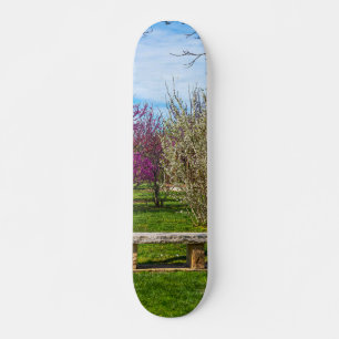 Ein Sitzplatz in der Frühlingssaison Skateboard