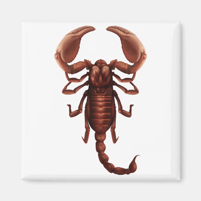 Ein Skorpion Magnet (Vorne)