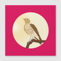 Ein Songdrossel saß auf einem Zweig