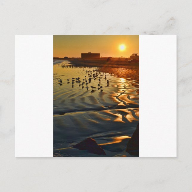Ein Sonnenuntergang in Port Aransas, Texas Postkarte (Vorderseite)