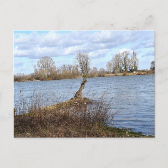 Ein sonniger Tag am Fluss Postkarte (Vorderseite)