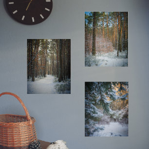 Ein sonniger Wintertag im Kiefernwald Bilderwand Sets