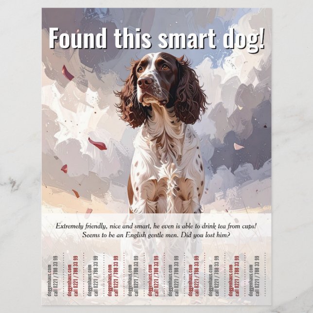 Ein Spaniel-Abreißflyer gefunden Flyer (Vorne)