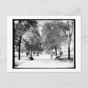 Ein Spaziergang durch den Lincoln Park, Chicago, I Postkarte