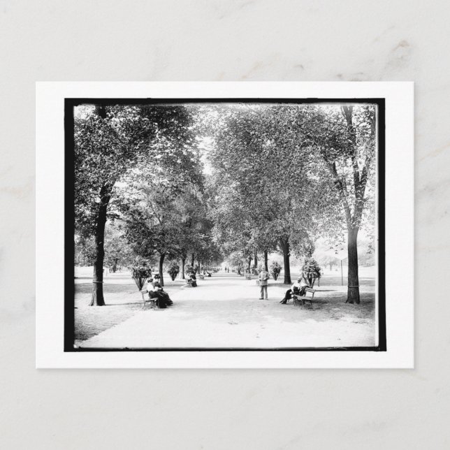 Ein Spaziergang durch den Lincoln Park, Chicago, I Postkarte (Vorderseite)