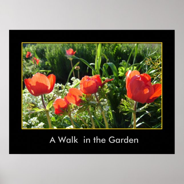 Ein Spaziergang im Garten Poster (Vorne)