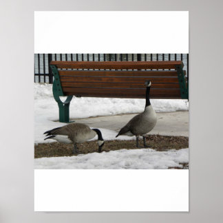 Ein Spaziergang im Park Poster