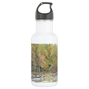 Ein Spaziergang im Wald Edelstahlflasche