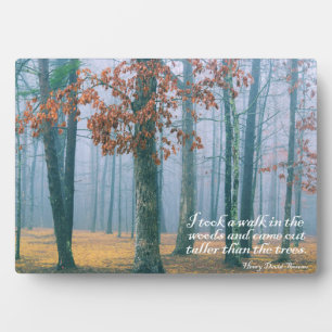 Ein Spaziergang im Wald Fotoplatte