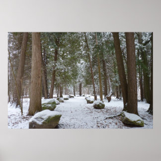 Ein Spaziergang im Wald Poster