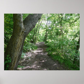 Ein Spaziergang im Wald Poster