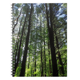 Ein Spaziergang im Woods Journal Notizblock