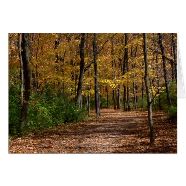Ein Spaziergang in Charleston fällt 6. (Vorderseite (Horizontal))