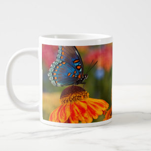 Ein Spicebush Swallowtail, Papilio troilus Jumbo-Tasse