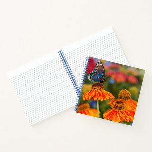 Ein Spicebush Swallowtail, Papilio troilus Notizbuch