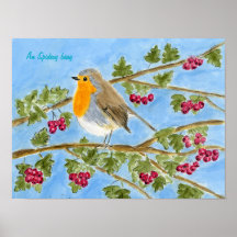 Ein Spideog Beag Poster