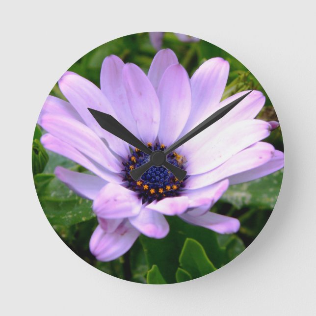 Ein Spiderzentrum Runde Wanduhr (Vorderseite)