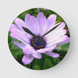 Ein Spiderzentrum Runde Wanduhr