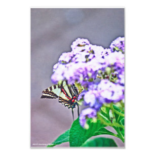 Ein Spiel der Verborgenen und Suche Fotodruck