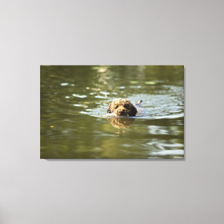 Ein spielerischer Hund kühlt sich bei Sommerhitze Leinwanddruck