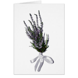 Ein Sprig Heather aus Schottland