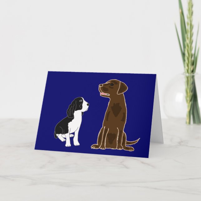 EIN springer-Spaniel-und Schokoladen-Labrador Karte (Vorderseite)